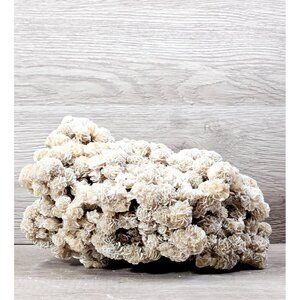 Desert Rose Selenite Natural Raw Gemstone Mineral Crystal Sand Rose Stone 6.5lbs